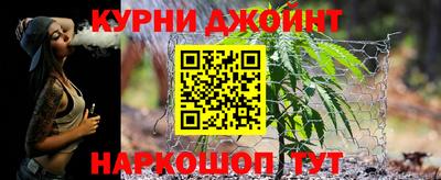 прущие грибы Можга