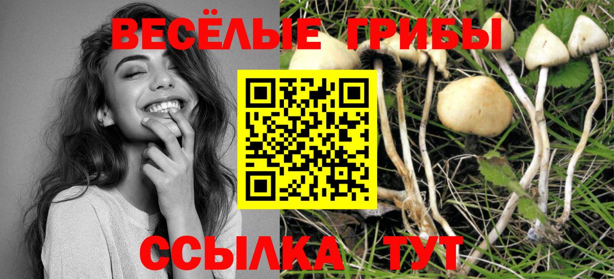 Галлюциногенные грибы мухоморы  Галлюциногенные грибы Psilocybe  Иркутск  Вход с VPN 
