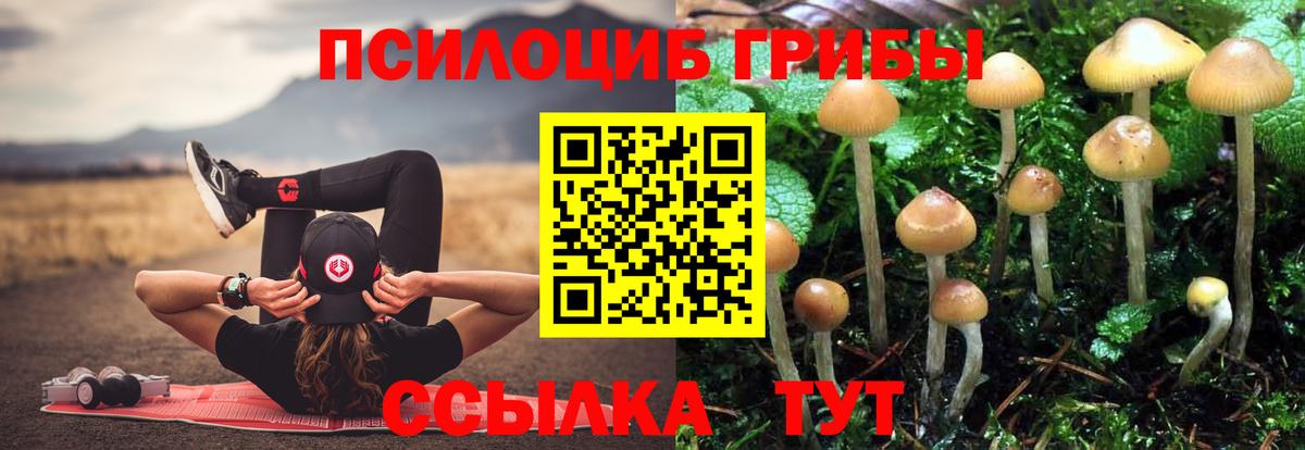 Псилоцибиновые грибы мухоморы Иркутск